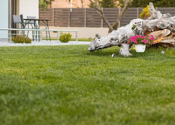 Hotel de apartamente Oliva