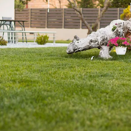 Hotel de apartamente Oliva